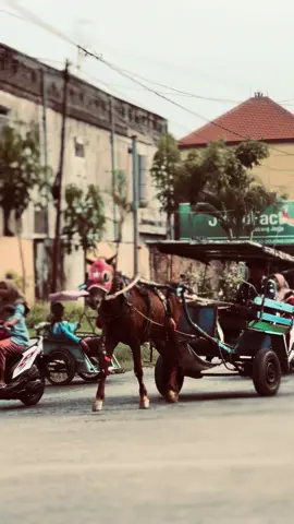 sumberrejo vibes jogja😁 #sumberrejo_bojonegoro #bjn24jam #kulinerbojonegoro #fyp #fypage #bjn_storyy 