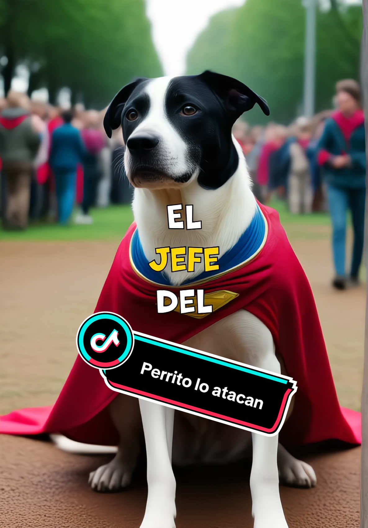 #dog #atack 