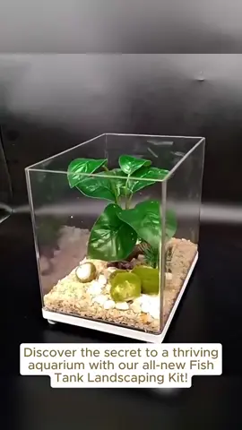 Fish Tank Landscaping Wood Water Plant Root Driftwood Tree Aquatic Plants Aquarium Grass Decora aqua soil complete set spongebob algae#tiktokvideo #aquariumcleaning #aquariumtank #aquariumfish #aquariumplants #tiktokshop #aquariumhobby #miniaquarium #aquariumdesign #fishtok #aquarium #cleaning #glowingstone #fyp #foryoupage #spongebobsquarepants #tropicalfish #fishtank #bettausa #janitorfish