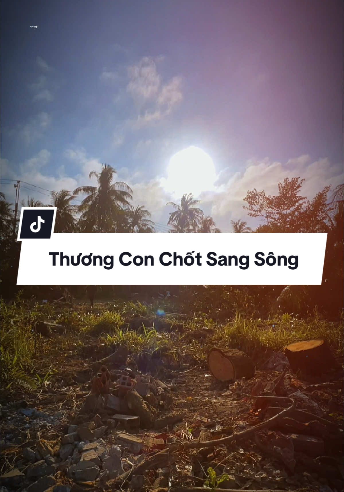 Chờ em nói lên câu chung tình mà hoài năm tháng tháng năm lặng thinh  #nhachay  #nhacnayhay  #nhactamtrang  #nhactamtrangbuon💔  #nhacnaynghelanghien  #nhacnaychillphet🎶  #xuhuong2024  #xh  #fyp  #phamkhai94_ 