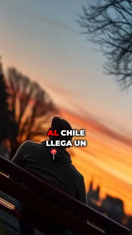 La Soledad Elegida Aprendí que a veces, la mejor compañía es la tuya. #soledad #autoconocimiento #reflexión #bienestar #autoestima