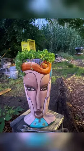 I’m gonna grow a garden!!!#crazyplantlady #maypop #garden #texas #followme #fyp#flower #DIY #ihavethisthingwithplants 