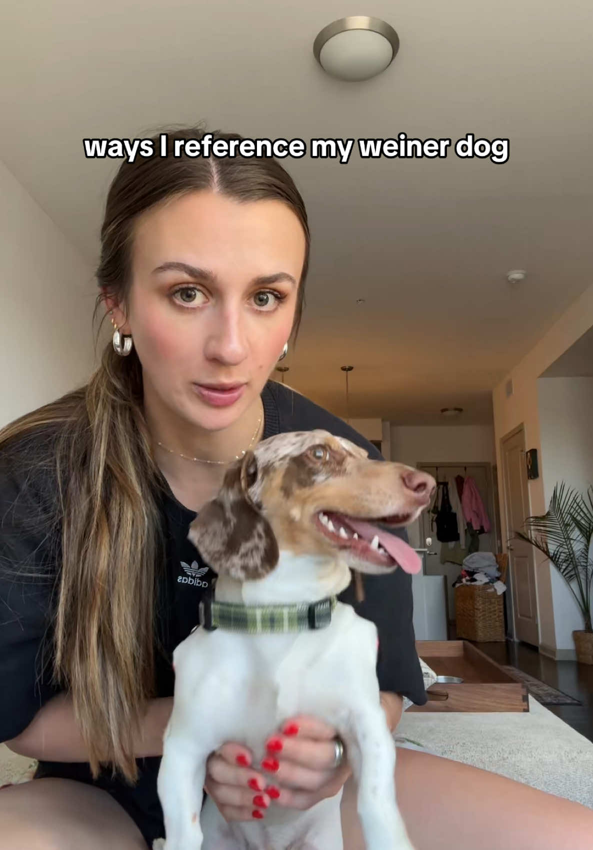I got “soss” from the Brit’s #dachshund 