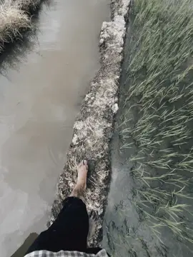 Vị đời🖤..