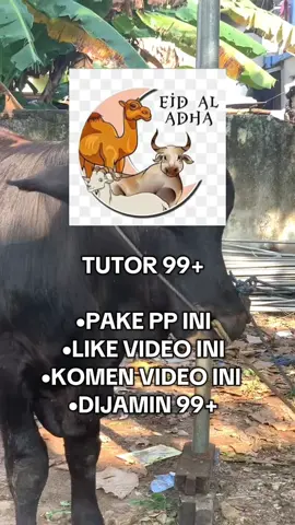 PP QURBAN IDUL ADHA 2025🔥#bismillahfyp #xybca #masukberanda #iduladha2025 #fypシ゚vira #iduladha2025🐐 #iduladha #ppiduladha #CapCut 
