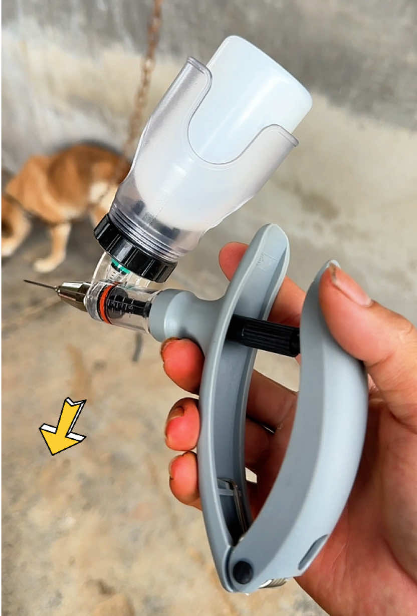 Xilanh tiêm tự động thú y #thuy #channuoiheo #channuoiga #xilanh  @🟢Trai Nhà Quê 14 🌐  @🟢Trai Nhà Quê 14 🌐  @🟢Trai Nhà Quê 14 🌐 