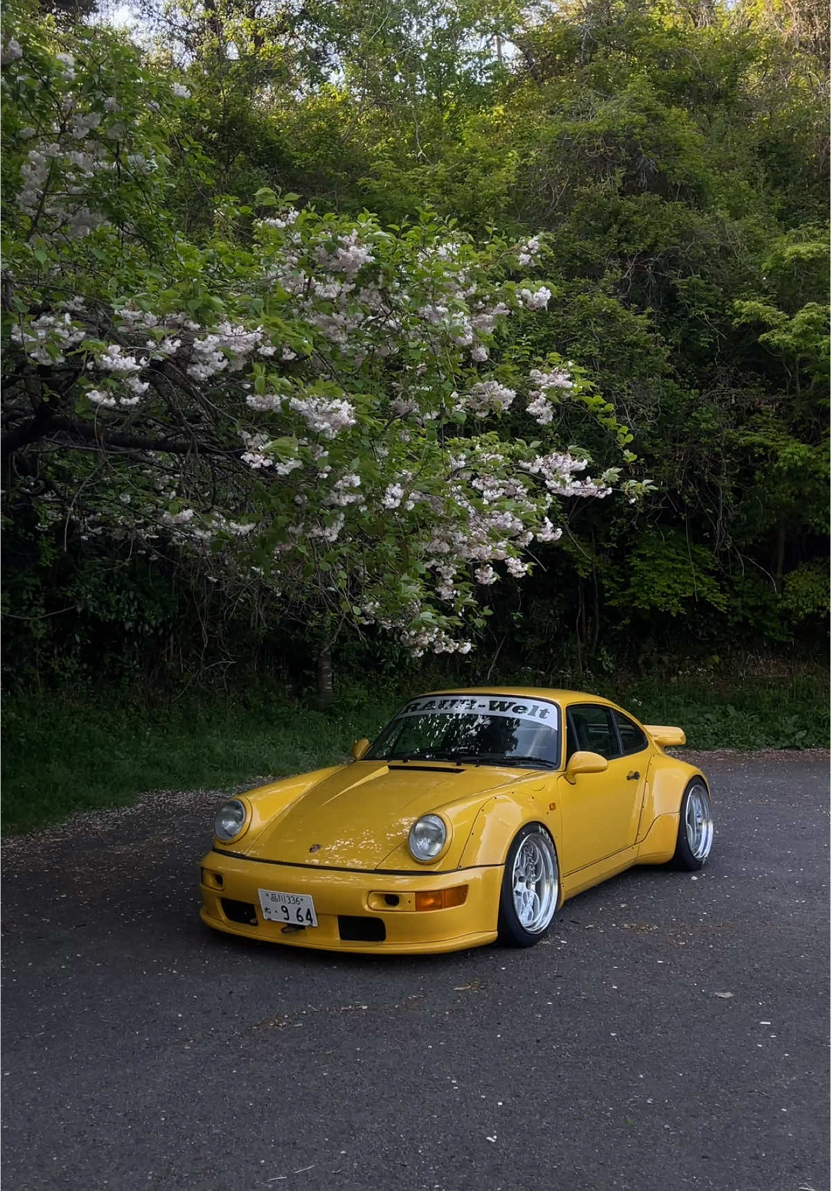 🌻RWB #rwb #porsche #jdm 