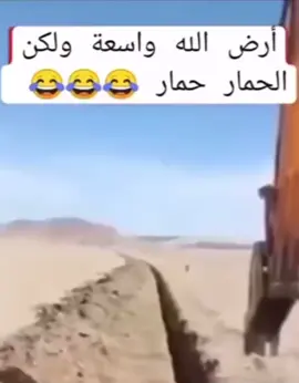 #والله_ان_الحمار_حمار 