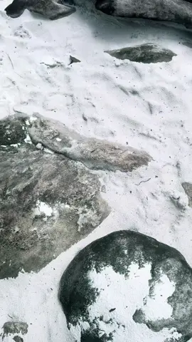 Pasir putih tapi bukan dipantai ada di lembah pegunungan papua #wamena#papuapegunungan#tiktok#viral#fyp#pesonaindonesia#wonderful#cantik#indah 