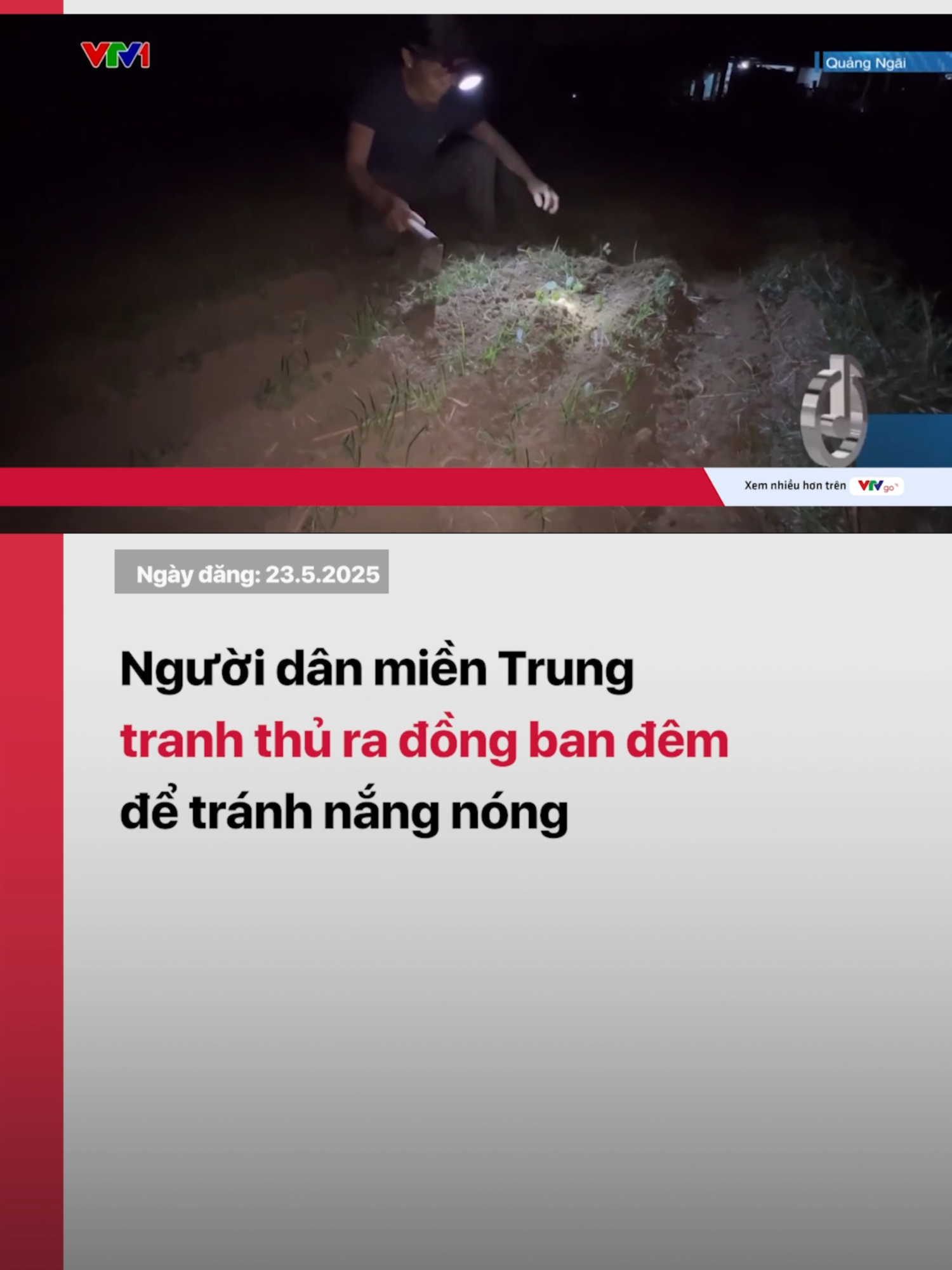 Để thích ứng với nắng nóng, nhiều nông dân tại các tỉnh miền Trung đã chuyển sang làm việc vào ban đêm nhằm tránh cái nắng gay gắt ban ngày #vtvdigital #vtv24 #tiktoknews #nangnong