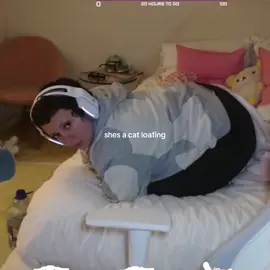 lets all do together #loaf #cat #vanillamace #stream #twitch #fypage #xyz 