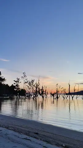 masi tentang pantai dan keindahannya. 🌊🌤 #sanset #pantai #sulteng #labuana #pantaibarat 