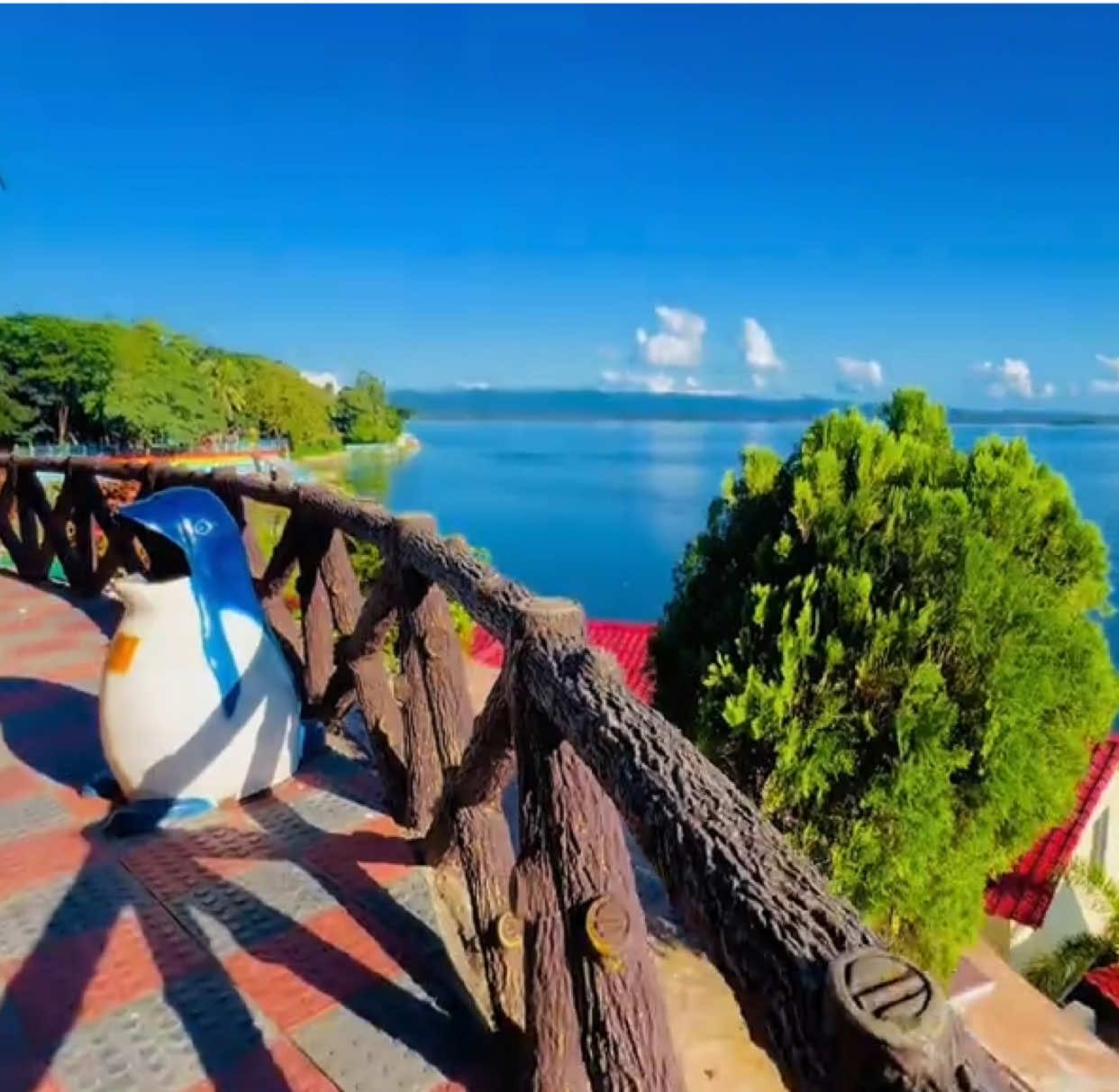 অদ্ভুত সুন্দর আমাদের এই রাঙ্গামাটি প্রকৃতি কতোটা রংঙের তুলি দিয়ে।কতোটা নিবিড় ভালোবাসায় সৃষ্টি করেছেন বিধাতা।রাঙ্গামাটি না আসলে অনুভব করা যায় না।🌿🌼🤍 #foryou #রাঙ্গামাটি_পলওয়েল_পার্ক #পলওয়েল_পার্ক #রাঙ্গামাটি #trending #vediography🎥 #iphone #viral #natural #cenamatic #view #প্রাকৃতিক_দৃশ্য #rangamati @Tiktok Bangladesh @TikTok @Rangamati meye💕🤭🔪🥀🫀❤️🥰 @প্রকৃতি 🦋🍃 