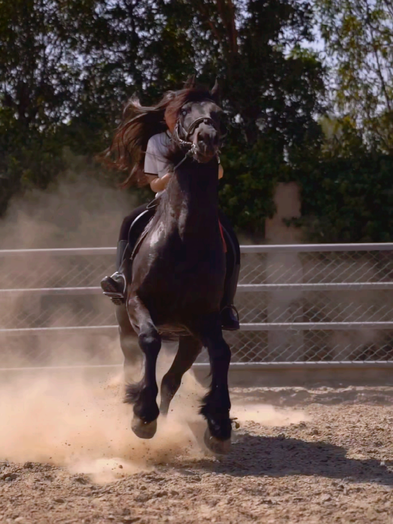 Horse Power 🖤🐴 #lifeofthesultans #thesultans #zanu #shoot #equestrianlife #equine #equestrian #fyp #foryou #foryoupage #horseoftiktok #horsegirl #horse #sultan #whitehorse #friesianhorse #black #blackhorse 