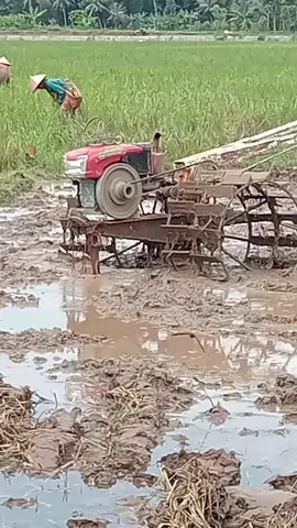 #seperi #video #teraktorsawah #kubota #fypシ゚viral 