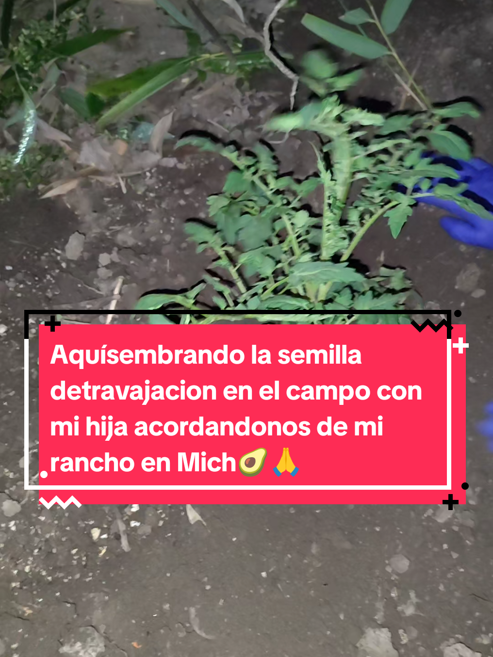 #larisueñalavalii🥑🍬 #aquienlasiembra #viralisimayou🤟🥰 