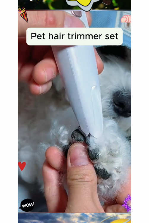 The dog is immersively enjoying hair shaving.#tiktokshop #fyp #Pethairtrimmer #fyp #foryoupage#tiktokshop #tiktokshoprestock #tiktokmademebuyit #fashion#trending#viral#Summer#tiktokshopfinds#tiktokshopcreatorpicks#tiktokshopholidayhaul#giftideas#tiktokshopspringglowup#goodthingstoshare #shopping #comeback#qvctiktoksuperbrandday
