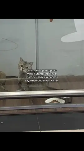 tapi saya sentiasa nak buat yang terbaik untuk awak, untuk kita. 