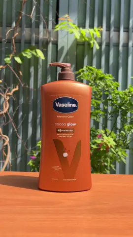 Lotion Vaseline cocoa glow hàng Úc #banglangtihon 
