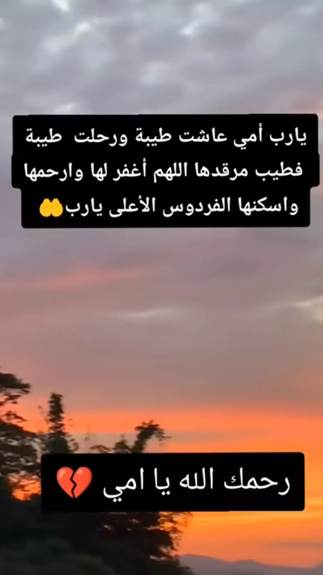 #رحمك_الله_يا_فقيدة_قلبي💔 