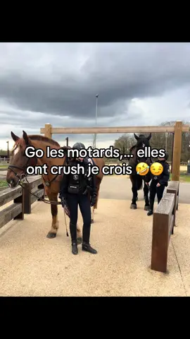 Une rencontre avec des pépites ✌️💋  Les motards elles crush… Go date ! 🤣 #Cheval #policier #police #crush #date #horse #moto #fyp #pourtoi 