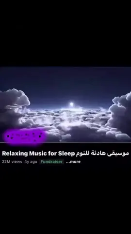 💤💤