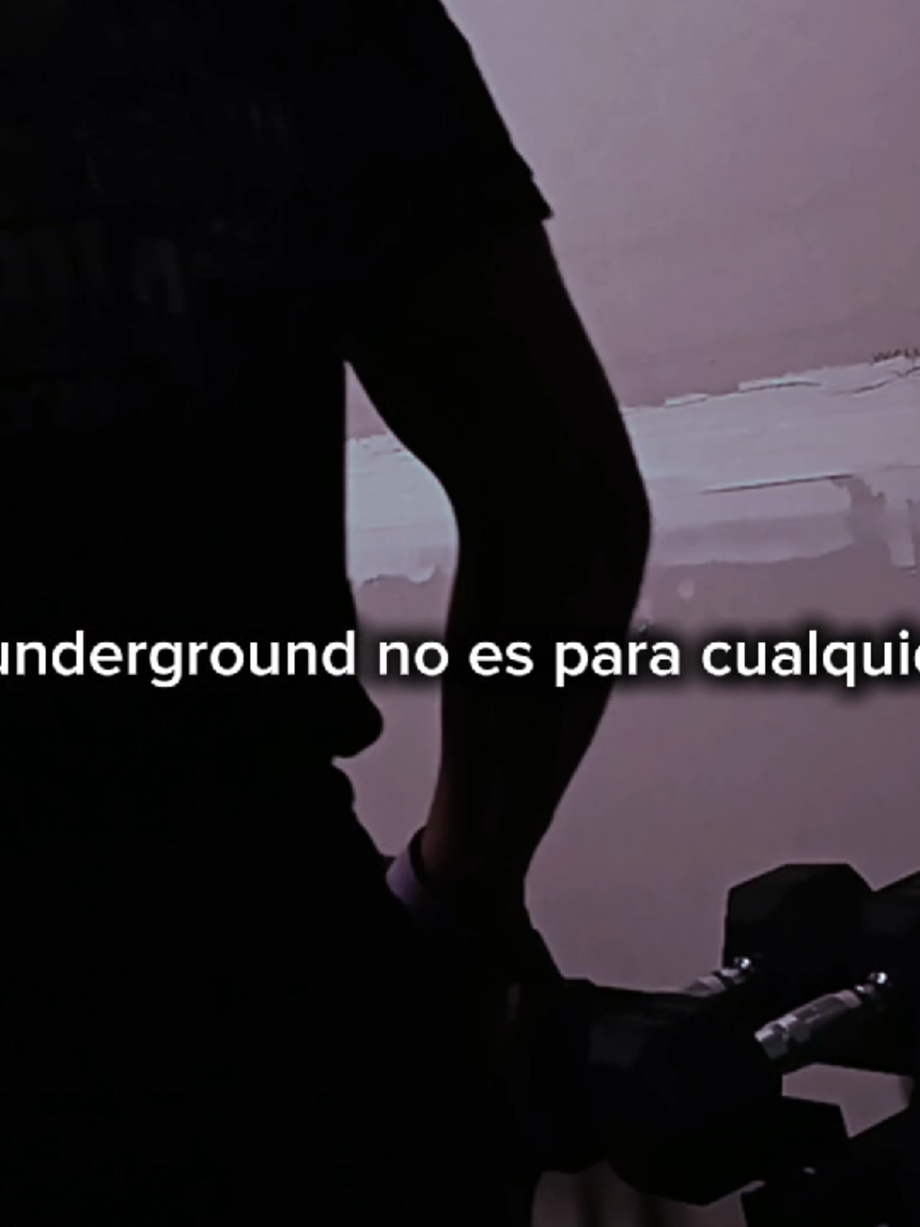 un vídeo más al repertorio.🧊🧊 #gymunderground #underground #suciaeleganciaperro #suciaelegancia #unionfatal🔥 #suciaelegancia🗣️❤️ #gymJuancuerdas #underground 