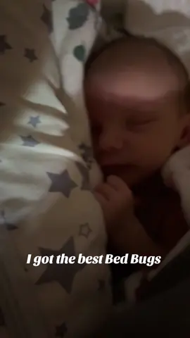 #IFYKYK #fyp #smile #bedbugs #babyboy 
