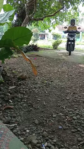 Report semua aktivitas entah ini akan jadi masa depan atau hanya jadi kenangan 💪 tapi aku tetep bissmillah💪