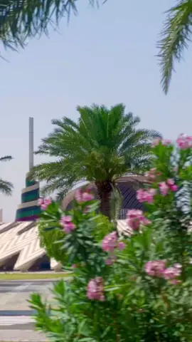#بغداد 