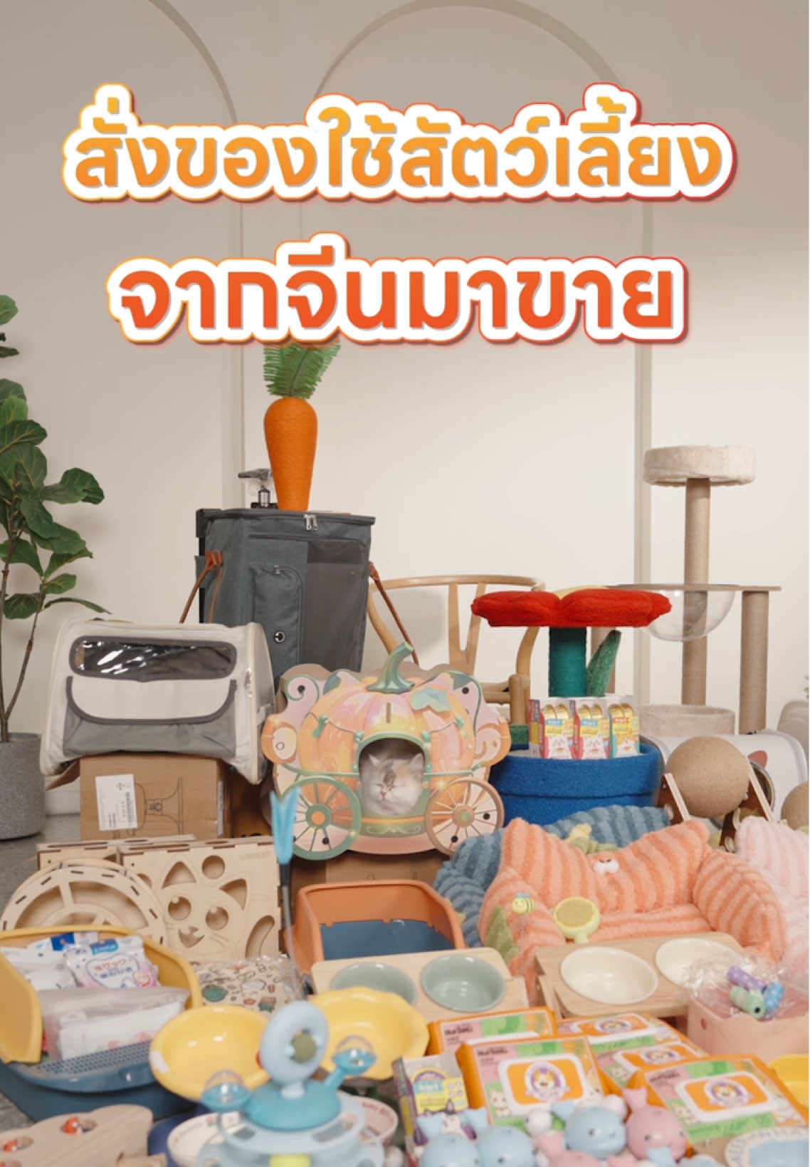 สั่งของใช้สัตว์เลี้ยงจากจีนมาขาย ผ่านVCANBUY #สั่งของจากจีน #สินค้านําเข้าจากจีน #พรีออเดอร์จากจีน #นําเข้าสินค้าจากจีน #VCANBUY 