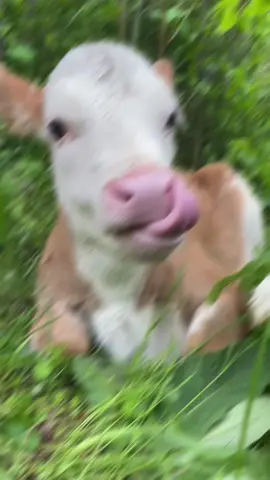 #CapCut #f #k #fy #fyp #foryou #kesfet #kesfetteyiz #keşfet #keşfetteyizzz #v #viralvideo #s #t #a #keşfett 