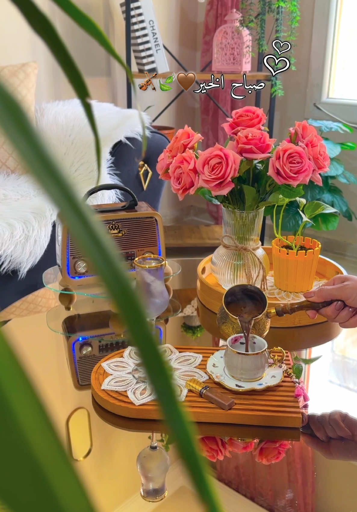 #ملكة____________القهوة🎻☕️♥️✨ #صباحياتي🌸🎼وقهوتي☕️🎻#راقيه__________بذوقي🎀✨ #مذوقهه___ღ❤🌹🌹🌹بكل_تفاصيلي #أجوائي_الحلوه♥☕ #تصويري📸♥️✨ #تابعوني_احبكم💞 #لايك__explore___ 💕🎼