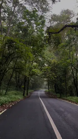 I still feel it all… #batu #peace #feelings #thisfeeling #cangar 