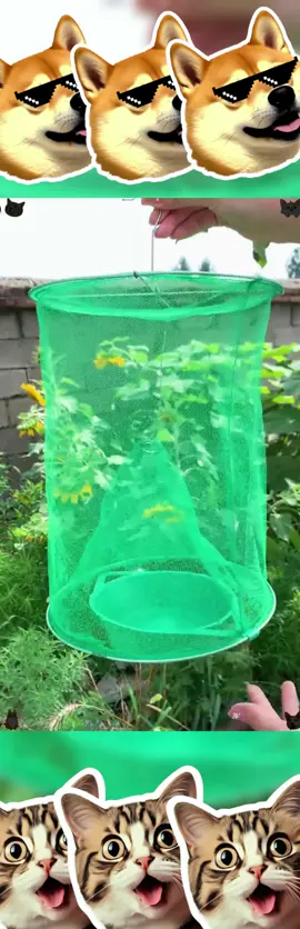 In summer, if there are many flies, use this net to fight them all and hang them in a place where there are many flies. If you fly in, you can't get out. It's green and environmentally friendly. It's easy to kill flies! #Fly-killing net #Easy to kill flies #Ring tool #Fly-catching artifact #Fly-catching cage#tiktok #tiktokshop #TiktokShopMemoriaiDay 