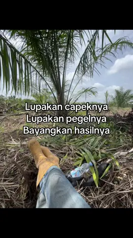 Tetap semangat 🔥#katakata #sawitontiktok #petanisawitsukses #petanimuda #petanigenz #fyp #petanisawit #storysawit 