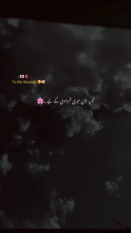 میری شہزادی کے لیے۔🫀🫠#asthetic #poetry #grow #views #account #poetrystatus #foryoupage #1millionaudition #ali_vibes0 