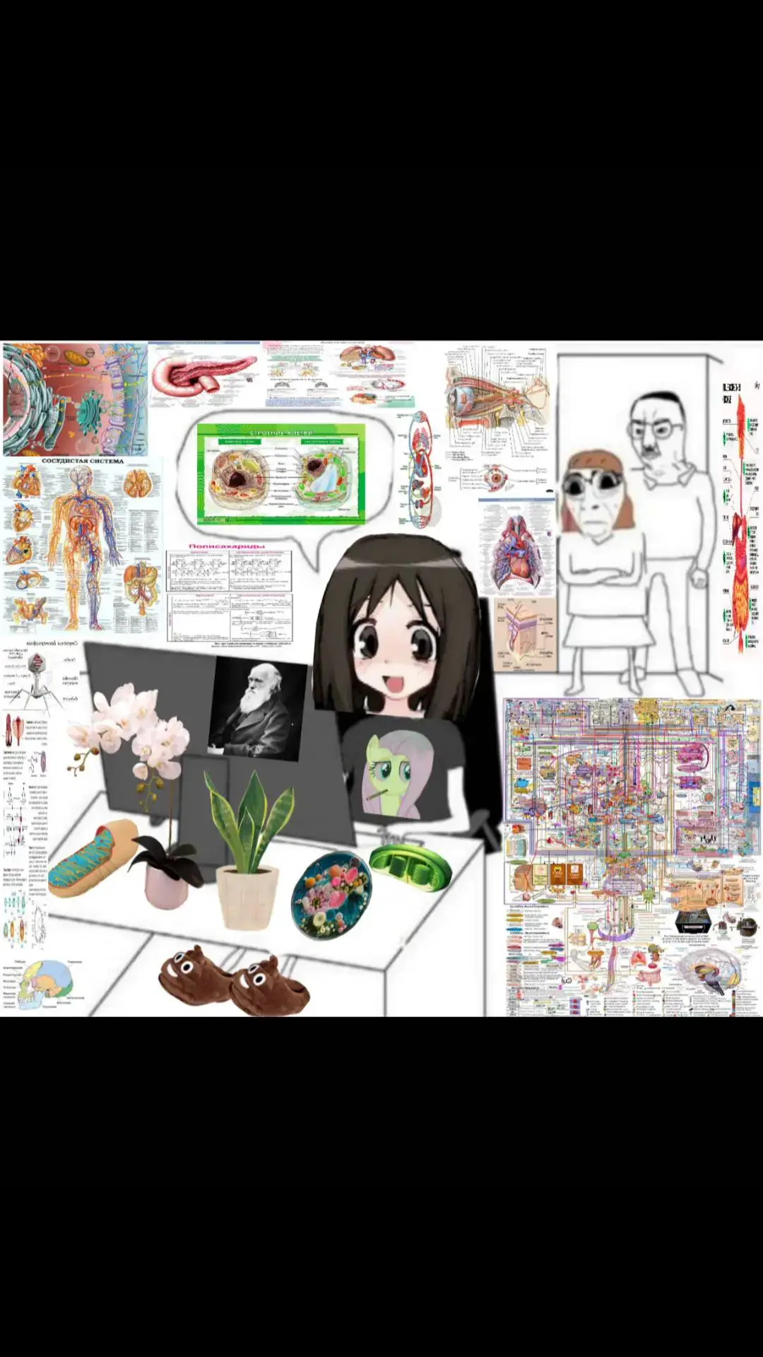 из комплексов только Гольджи #биология #био #химбио #physics #biology 