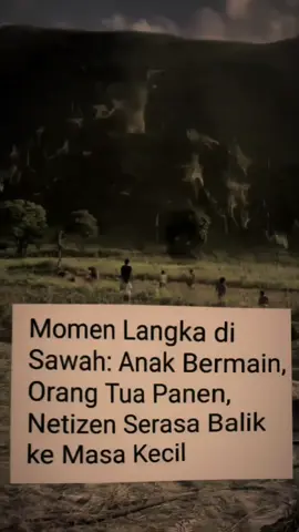 siapa yang pernah ngalamin pas masih kecil main sambil bantuin orangtua disawah der 🎖️🌻🌻 #masakecilbahagia #disawah #rehanfrds🎖️ #masukberanda #rehanfrds🎖️ #fyp 