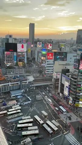 Timelapse of Shibuya ✌🏻| #japan #japanlife #jpn #🇯🇵 #japanmoments #japntiktok #japantiktokやってる人 #japanese #japanstyle #japantravel #japanthings #japaneseculture #tokyo #tokyotravel #tokyolife #tokyothings #tokyoaesthetic #tokyostyle #shibuya #shibuyacrossing #shibuyasky #shibuyasunset #shibuyajapan #crossing #neon #neonlights #time #timelapse #cyberpunk #sun #sunset #people #crowded #calm #beautiful #view #sky #fy #fyp #viral #blowthisup 