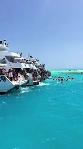 📍Sharm El Sheikh, White Island #sharmelsheikh #whiteisland #eygpt #eygpt🇪🇬 #boat #boatday #beach #beachvibes #foryou #foryoupage #travel #Lifestyle #cabincrew #cabincrewlife #emirates 