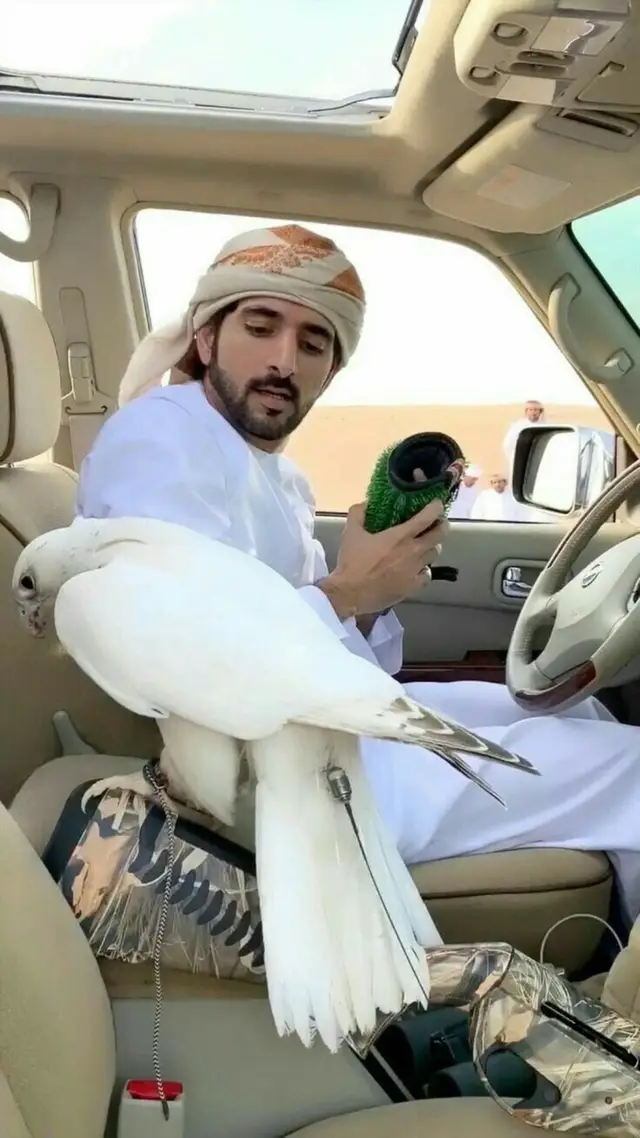 Why can’t I have the love I need, love me dear and never let go, Love me and never take flight even with my imperfections fazz3 #crownprince #hamdan #royalfamily #princefazza #hamad 