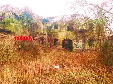 Tyler the creator - Sarah #tylerthecreator #foryou #foryoupage #fyp #OFWGKTA 