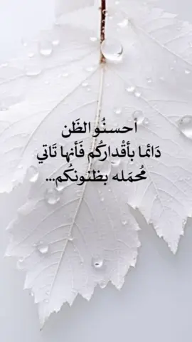 #🌹 #TikTokPromo #🤲 #