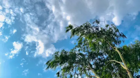- বিচ্ছেদ ভরা এ শহরে বিশ্বাসযোগ্য একজোড়া হাত আমার হোক যা কখনো ছেড়ে যাবে না 😊💜#vairal_video #Foryou 