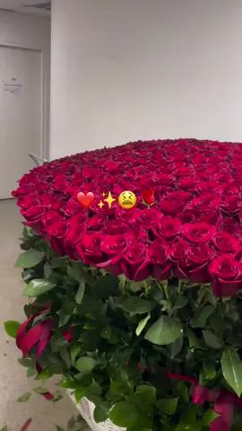 #JeeRey🦕😻💦 #🌹😫✨️🫶🏻#fypシ゚ #foryoupag 