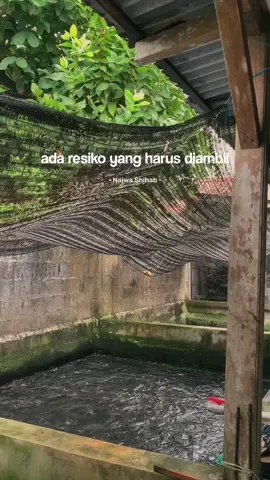 allahuakbar😇 #fyp #fy #budidayalele #ikanlele 