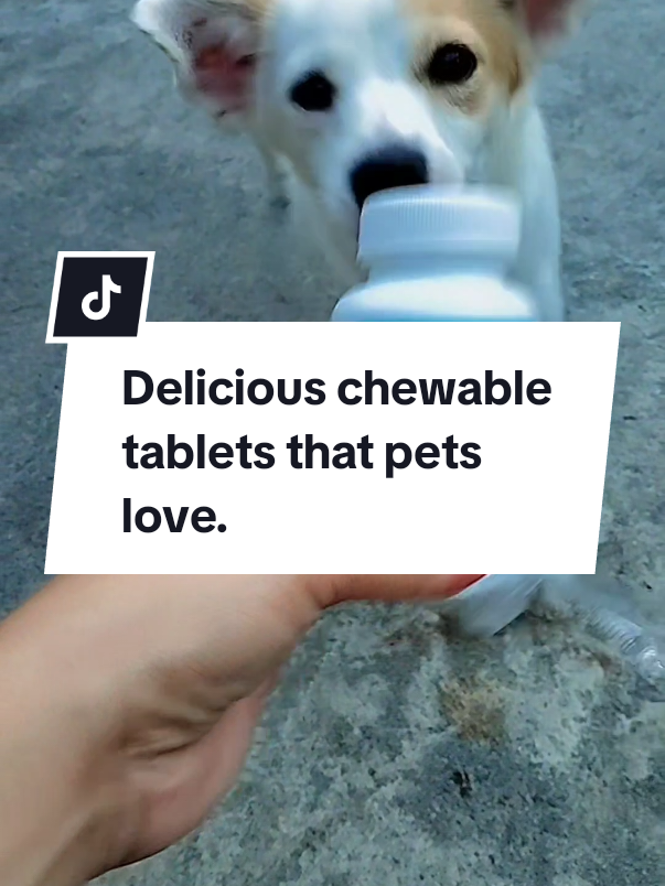 @tovitar1 #tovitarprobiotics #probioticsenzymes #probioticsfordogsandcats #gooddigestionfordogs #petlover 