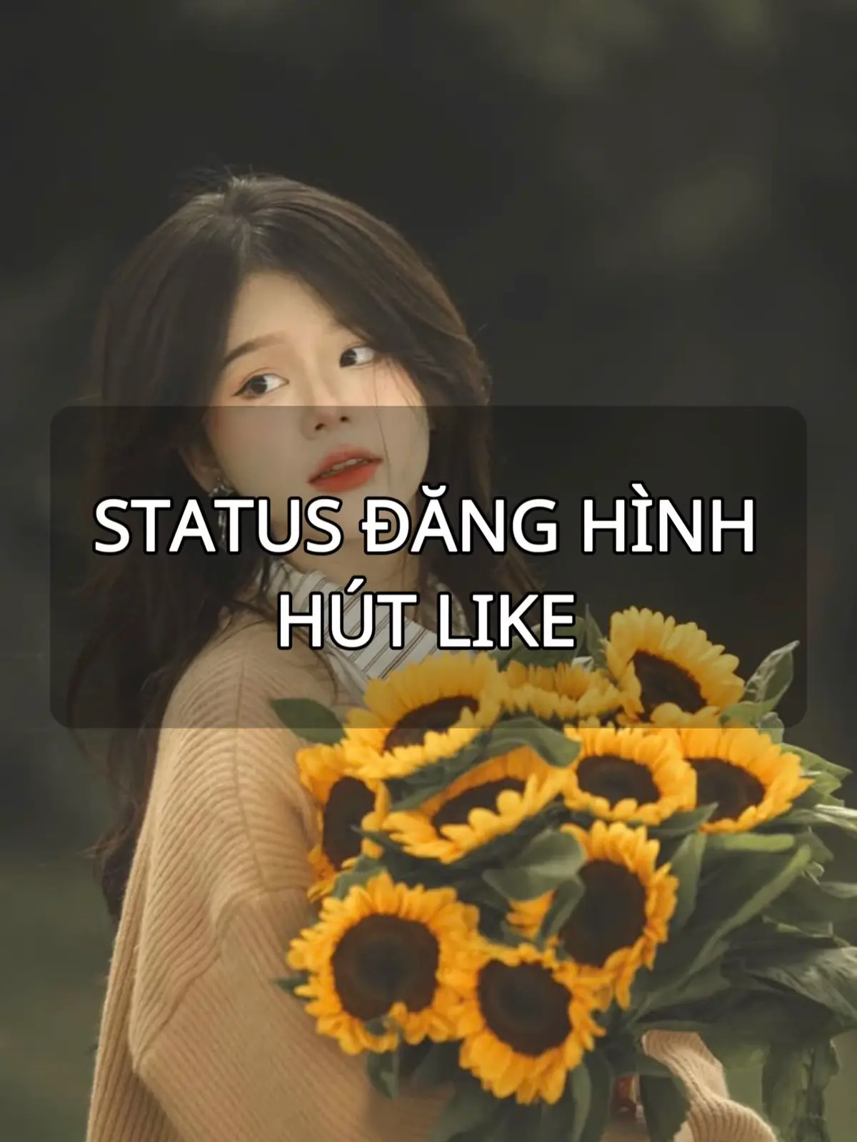 Voi 9 ngà gà 9 cựa, ngựa ngựa đăng hình lên xem được bao nhiêu like. #caption #status #haihuoc #xuhuong 