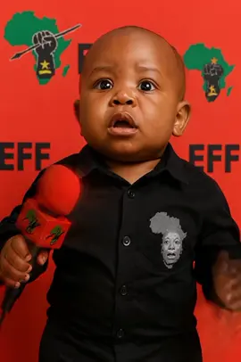 Malema on borders. #creatorsearchinsights  #baby  #eff  #southafricatiktok 